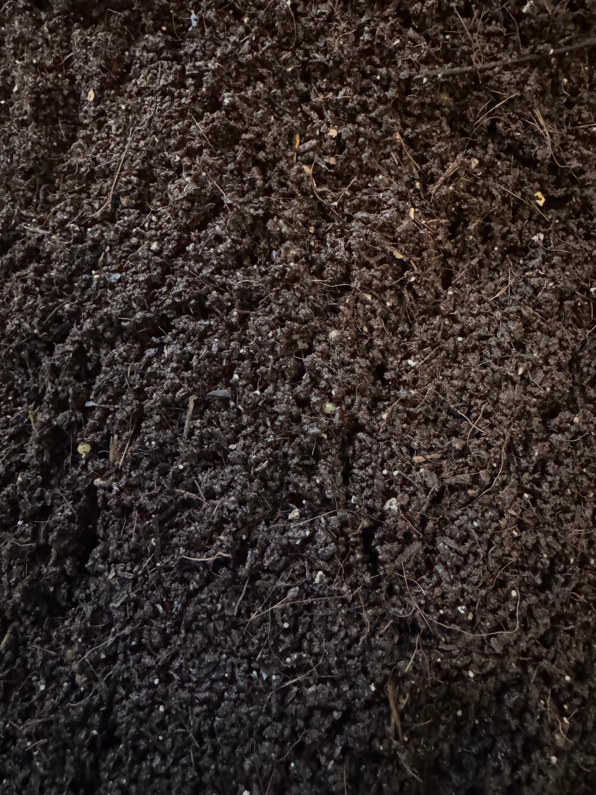 Worm Castings