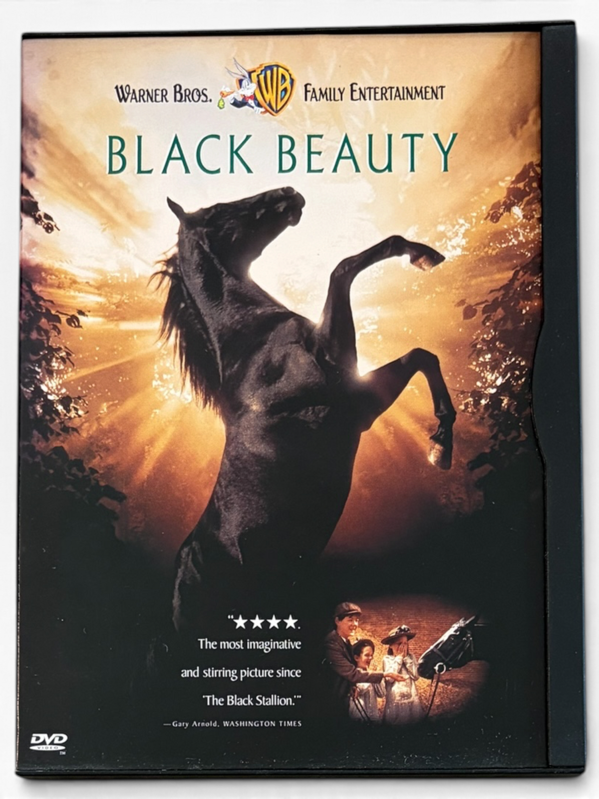 Black Beauty (1994)