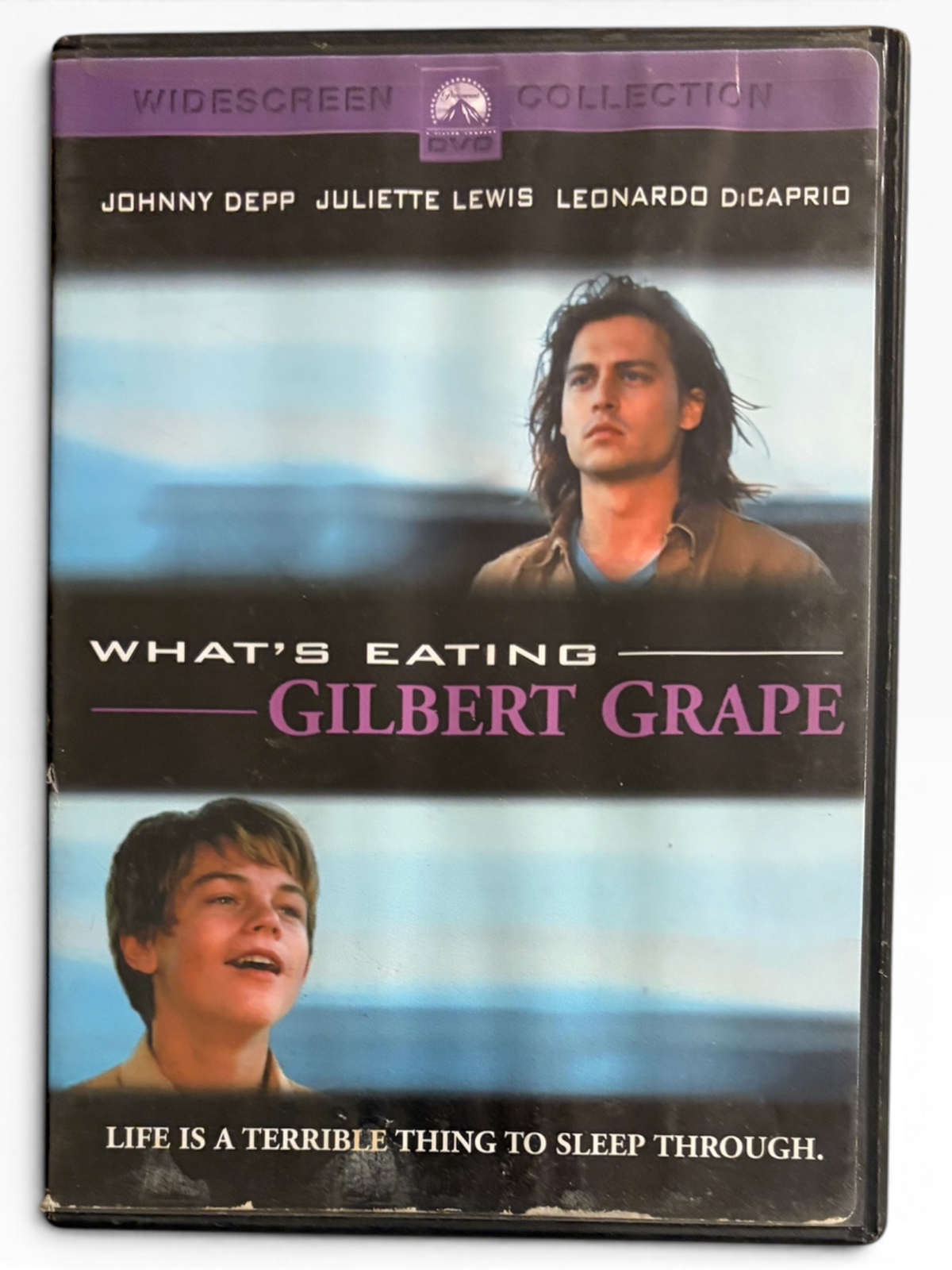 What's Eating Gilbert Grape (1993)