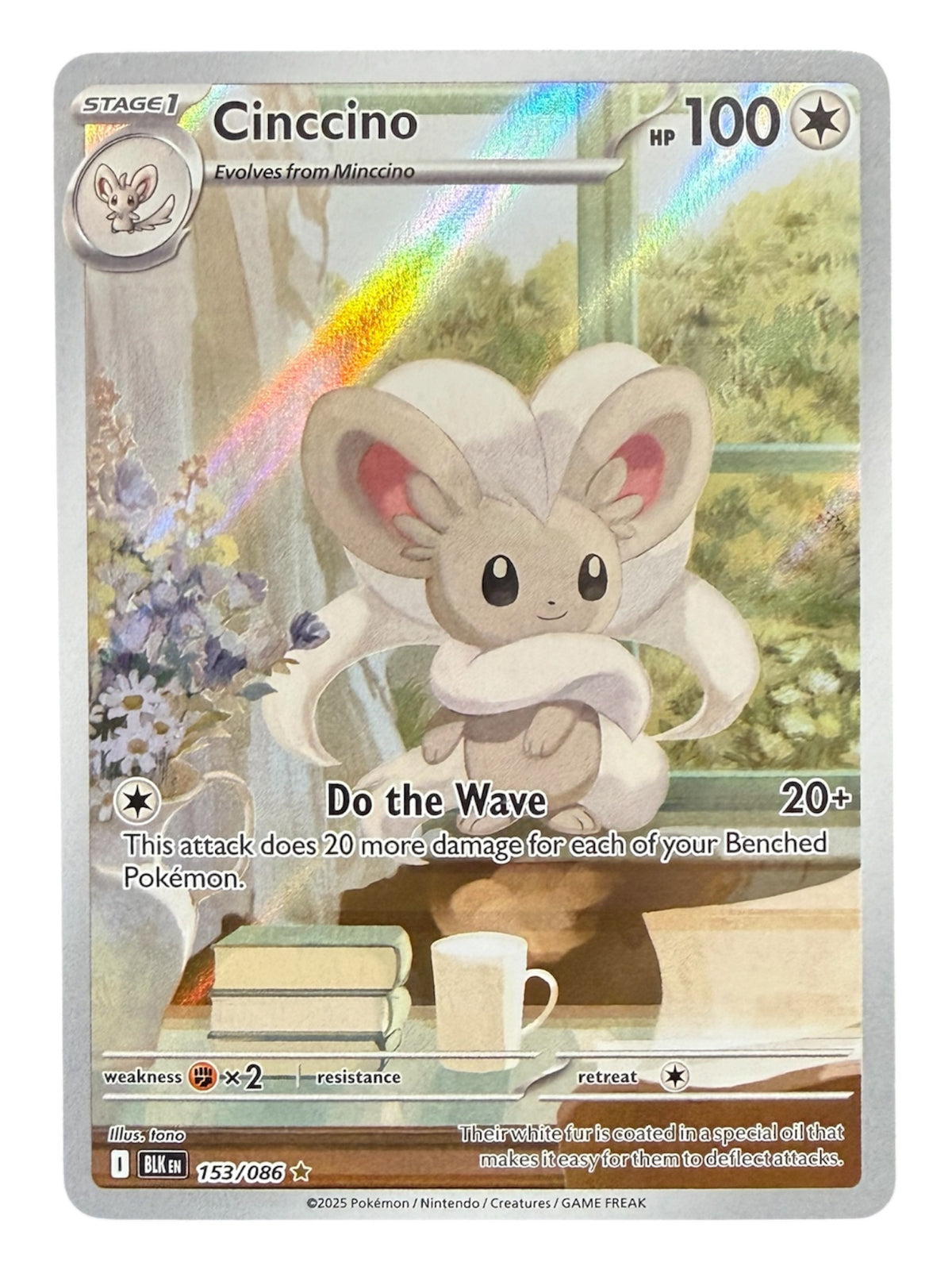 Cinccino (153/086) - Black Bolt (BLK)